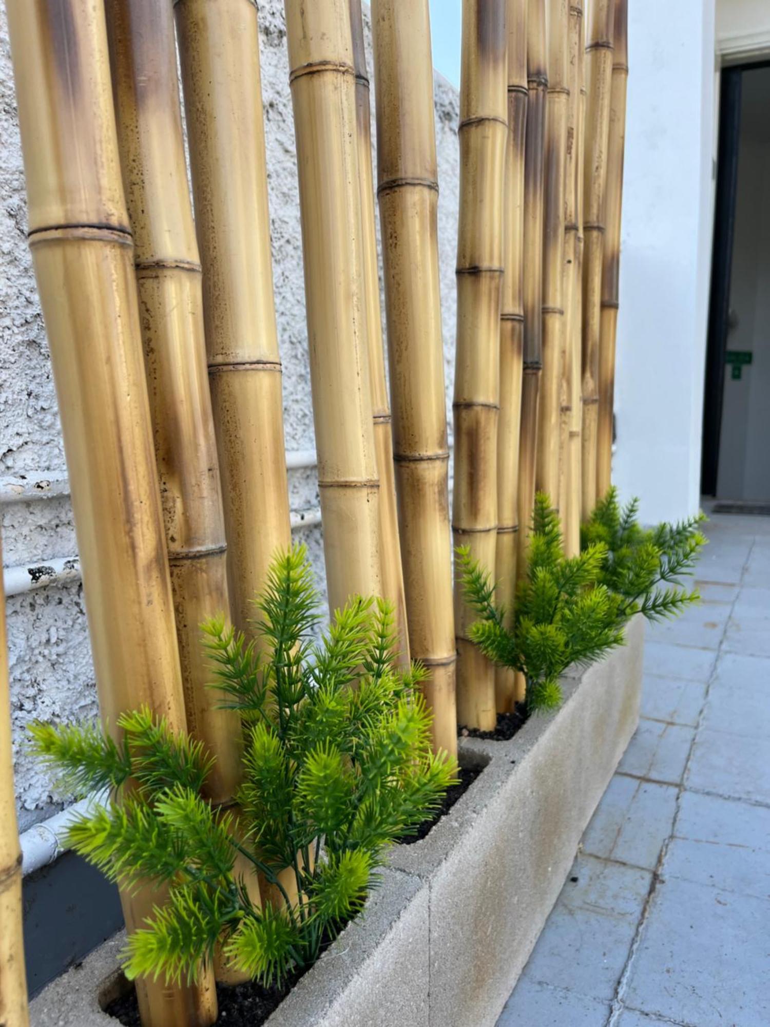 Terrazas De Rondeau Διαμέρισμα Μεντόζα Εξωτερικό φωτογραφία